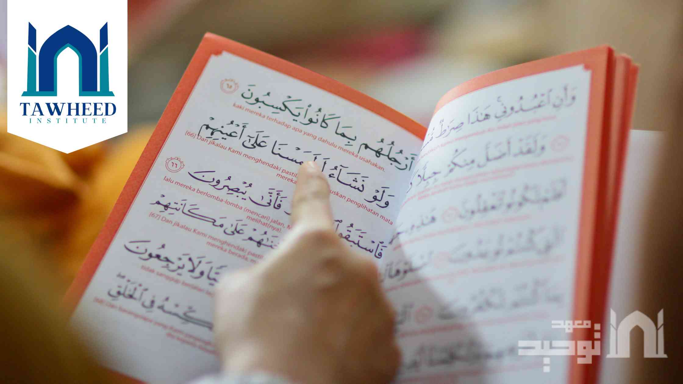 تأسيس-اللغه-العربية-للمبتدئين